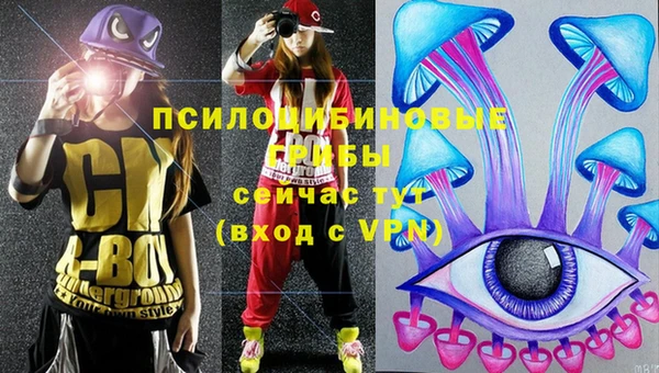 соль курить ск Анжеро-Судженск