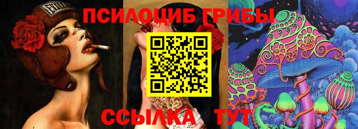 Псилоцибиновые грибы прущие грибы  Георгиевск 