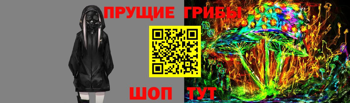 Галлюциногенные грибы прущие грибы Георгиевск